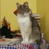 Отзыв от Наиля Лопатина